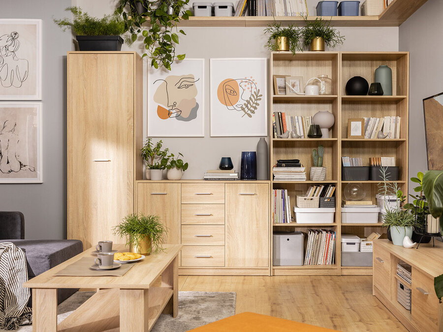 Furniture collection Novsore