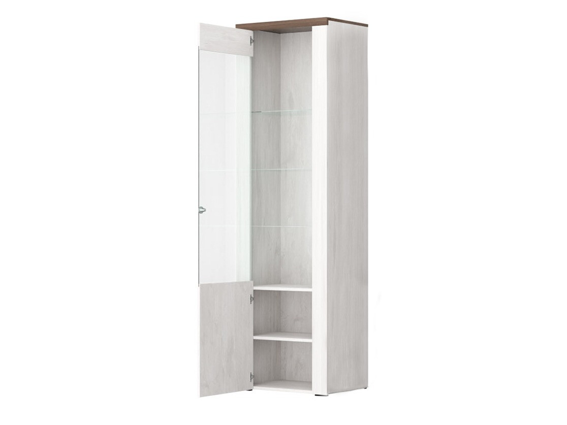 Bookcase Salelbo 102 (Sibu larch + Trufel oak)