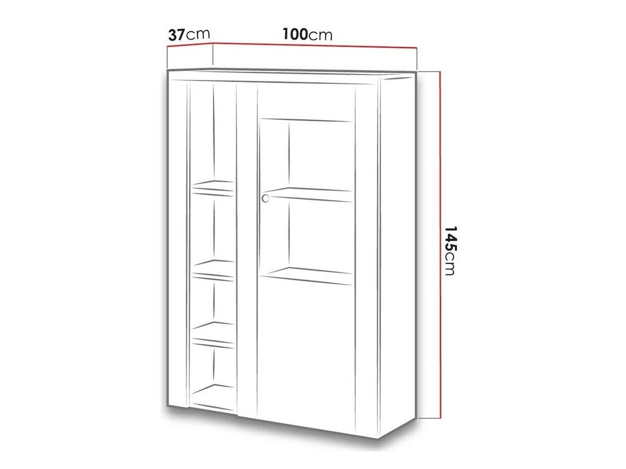Bookcase Salelbo 104 (Nut)