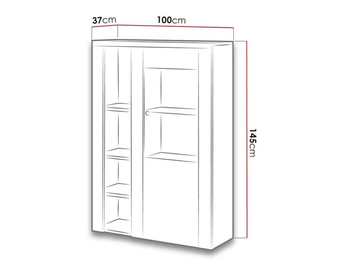 Bookcase Salelbo 104 (Sibu larch + Trufel oak)