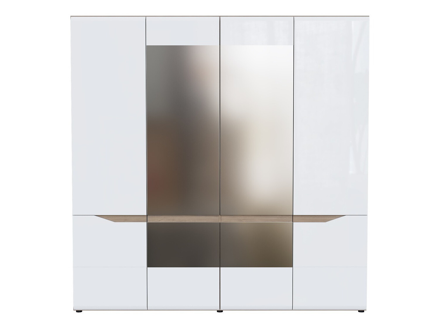 Wardrobe Salsevi 109