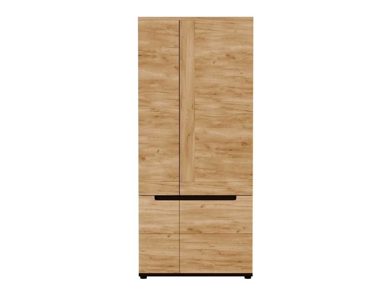 Wardrobe Remlevi 106