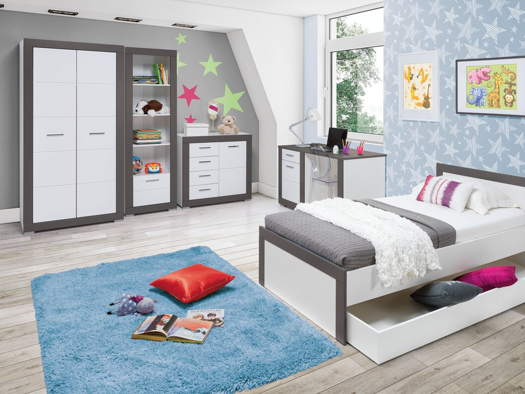 Bookcase Ferciru 105