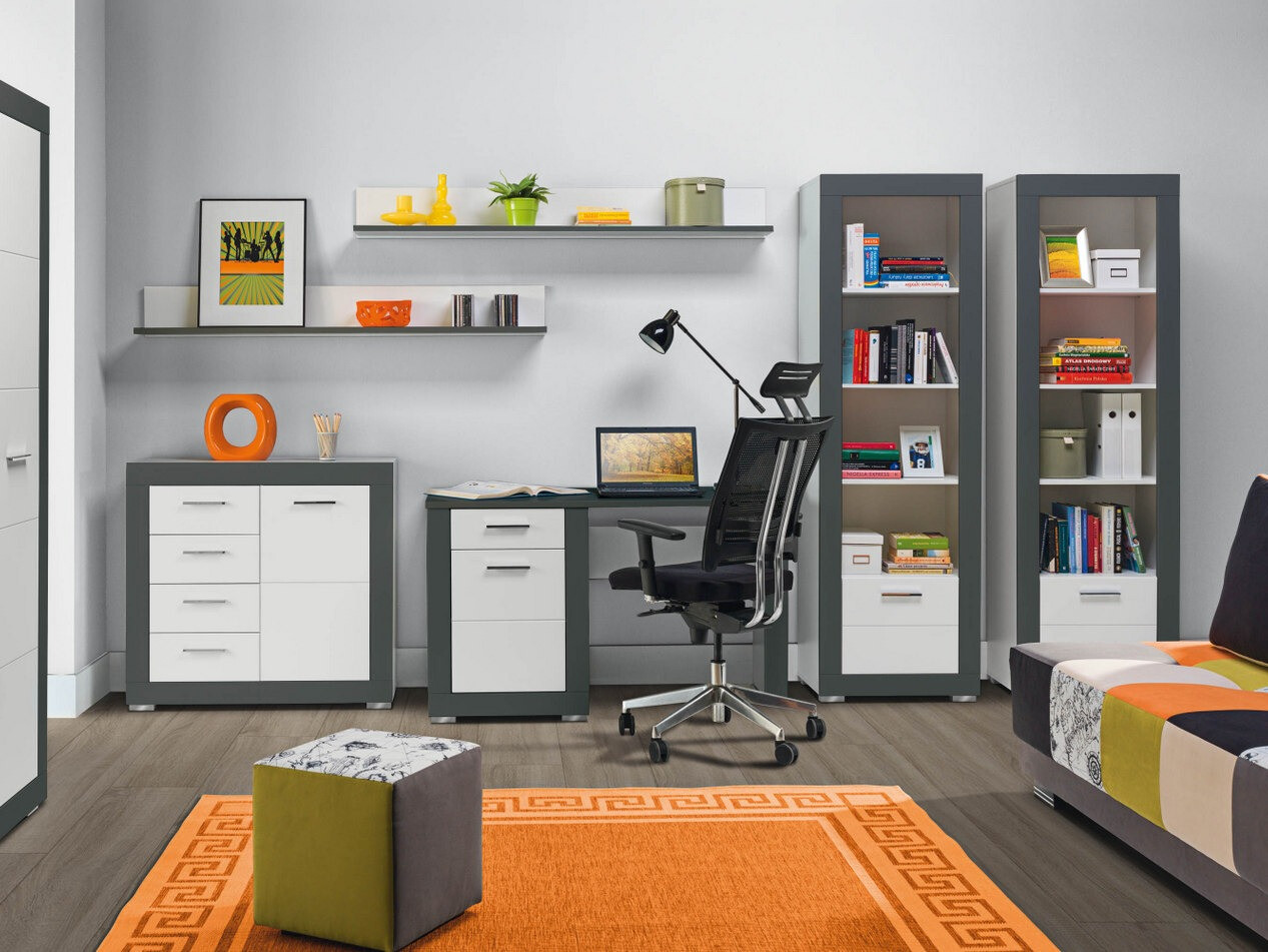 Bookcase Ferciru 105