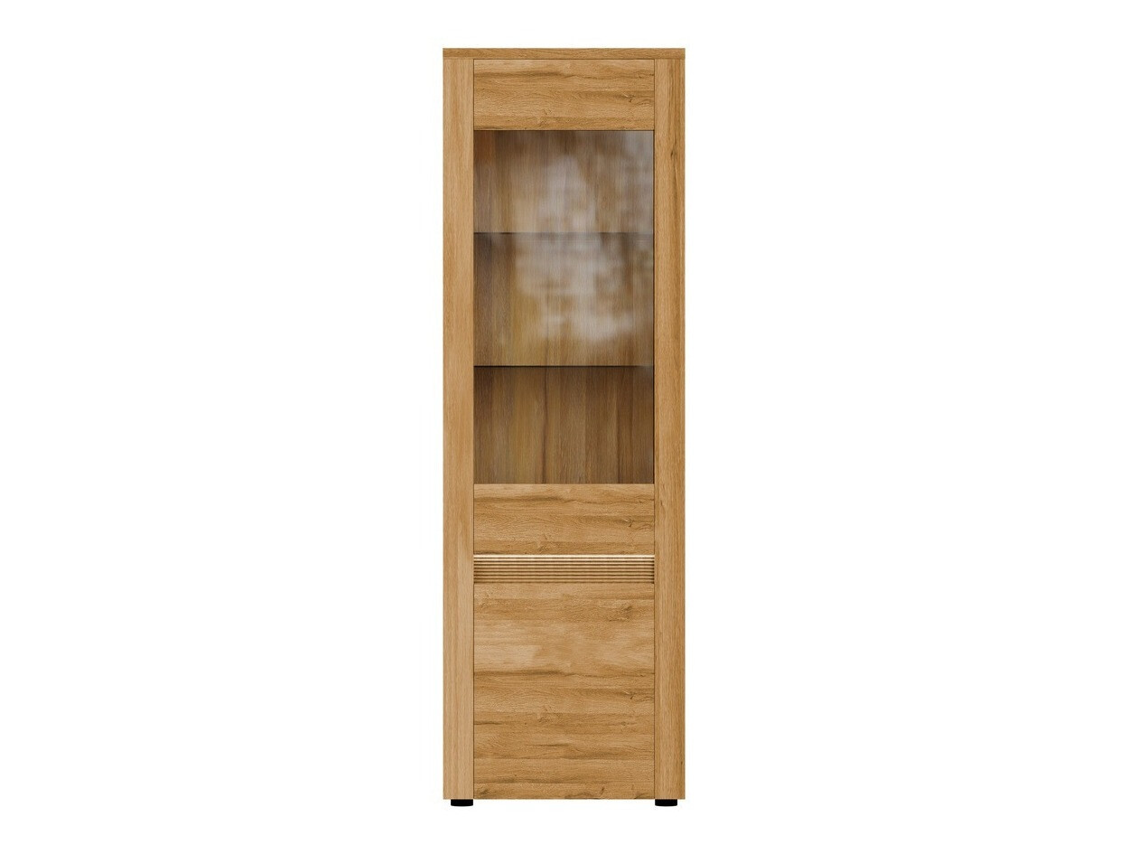 Bookcase Sonciro 104