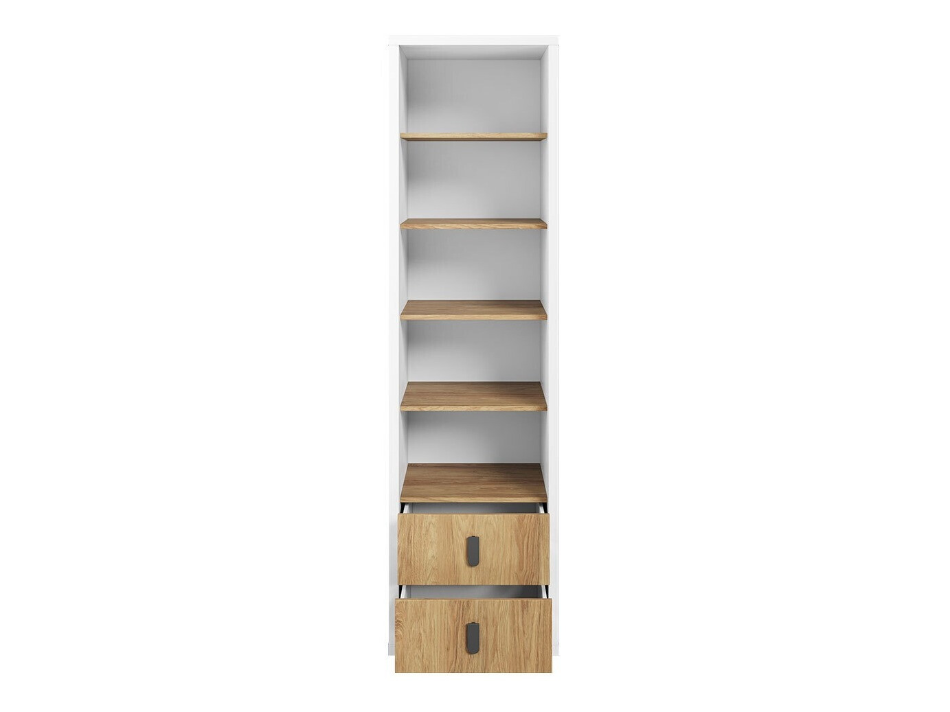 Bookcase Tesonu 106