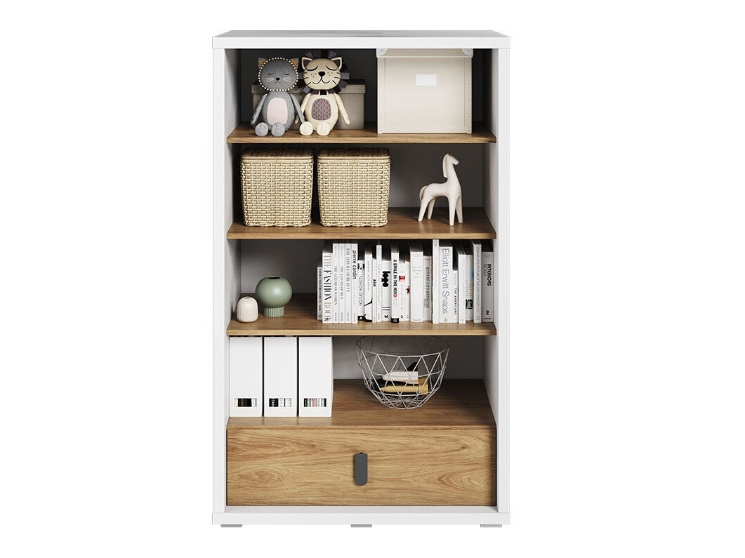 Bookcase Tesonu 107