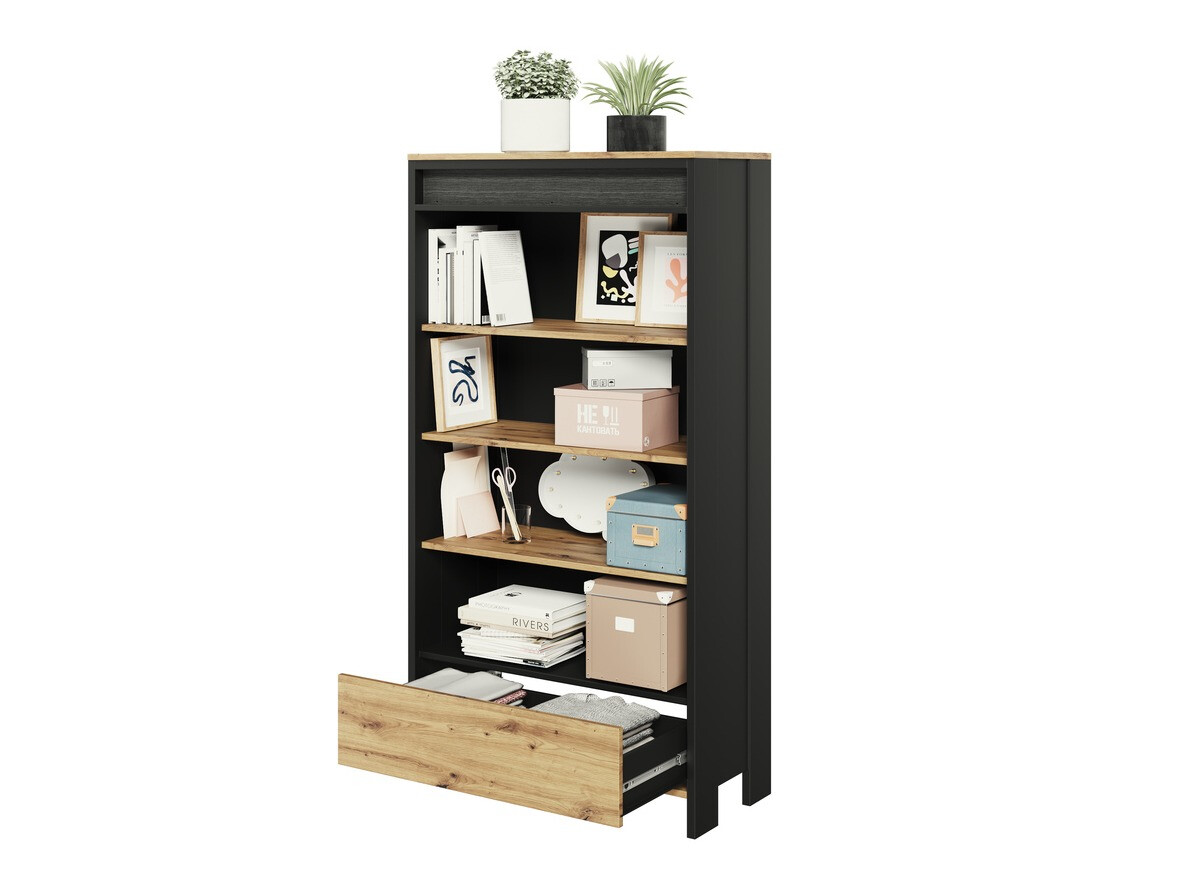 Bookcase Lomsevu 113
