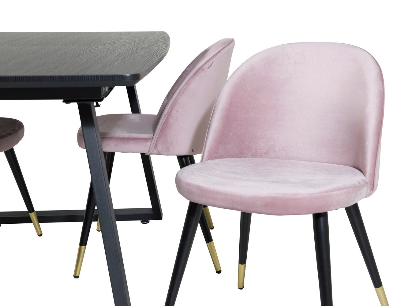Dining set Dallas 1631 (Pink)