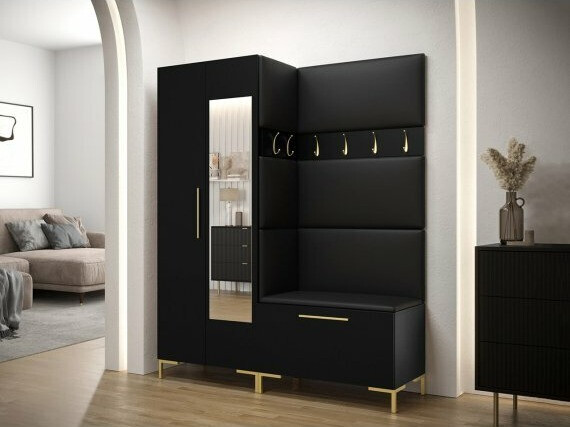Shoe cabinet Nomal (Black + Golden)