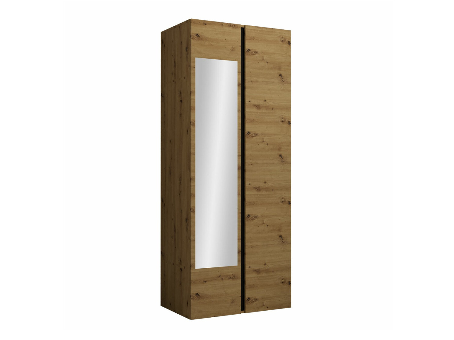 Wardrobe Pinis I (Artisan oak + Black)