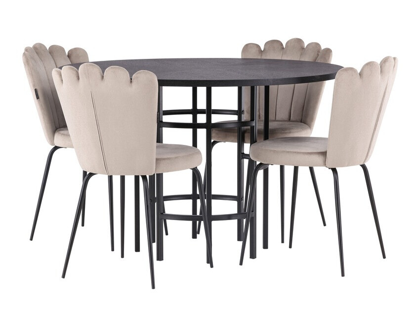 Dining set Dallas 3973