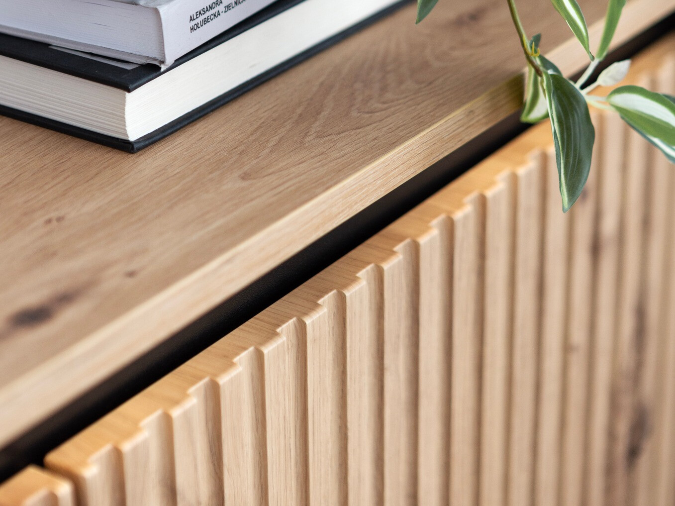 Sideboard Fernolu 103 (Artisan oak + Black)