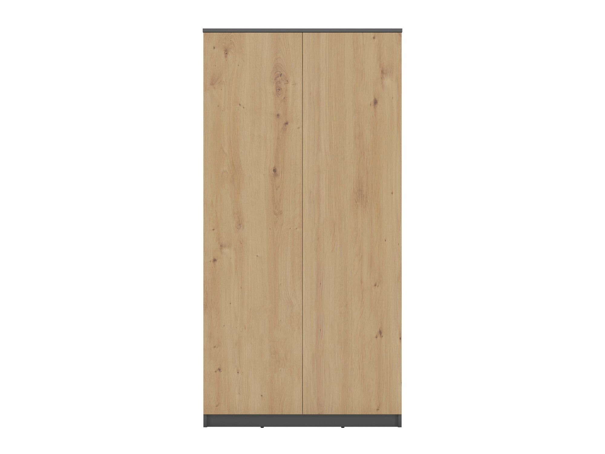 Wardrobe Elbvelu 117 (Anthracite + Artisan oak)