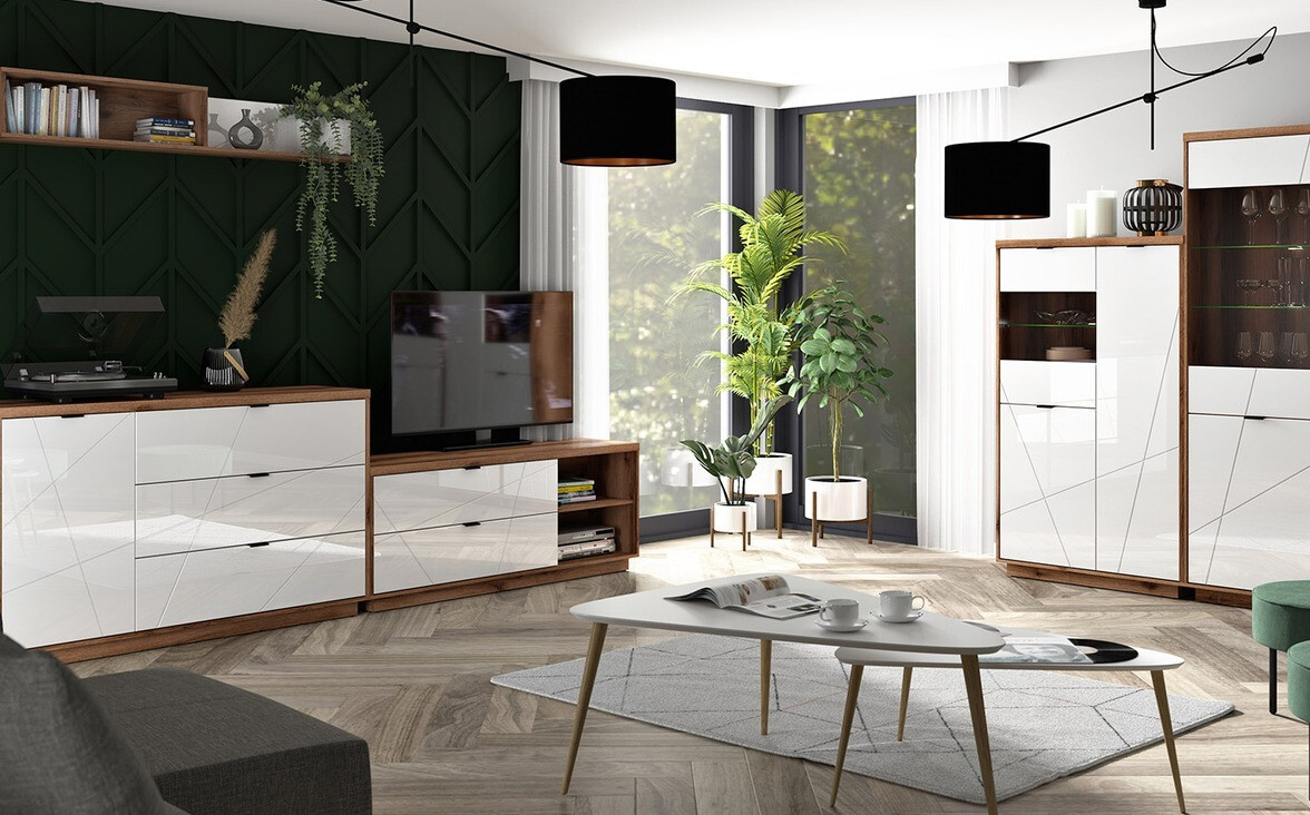 Bookcase Fivale 102 (Dark Delano oak + Glossy white)