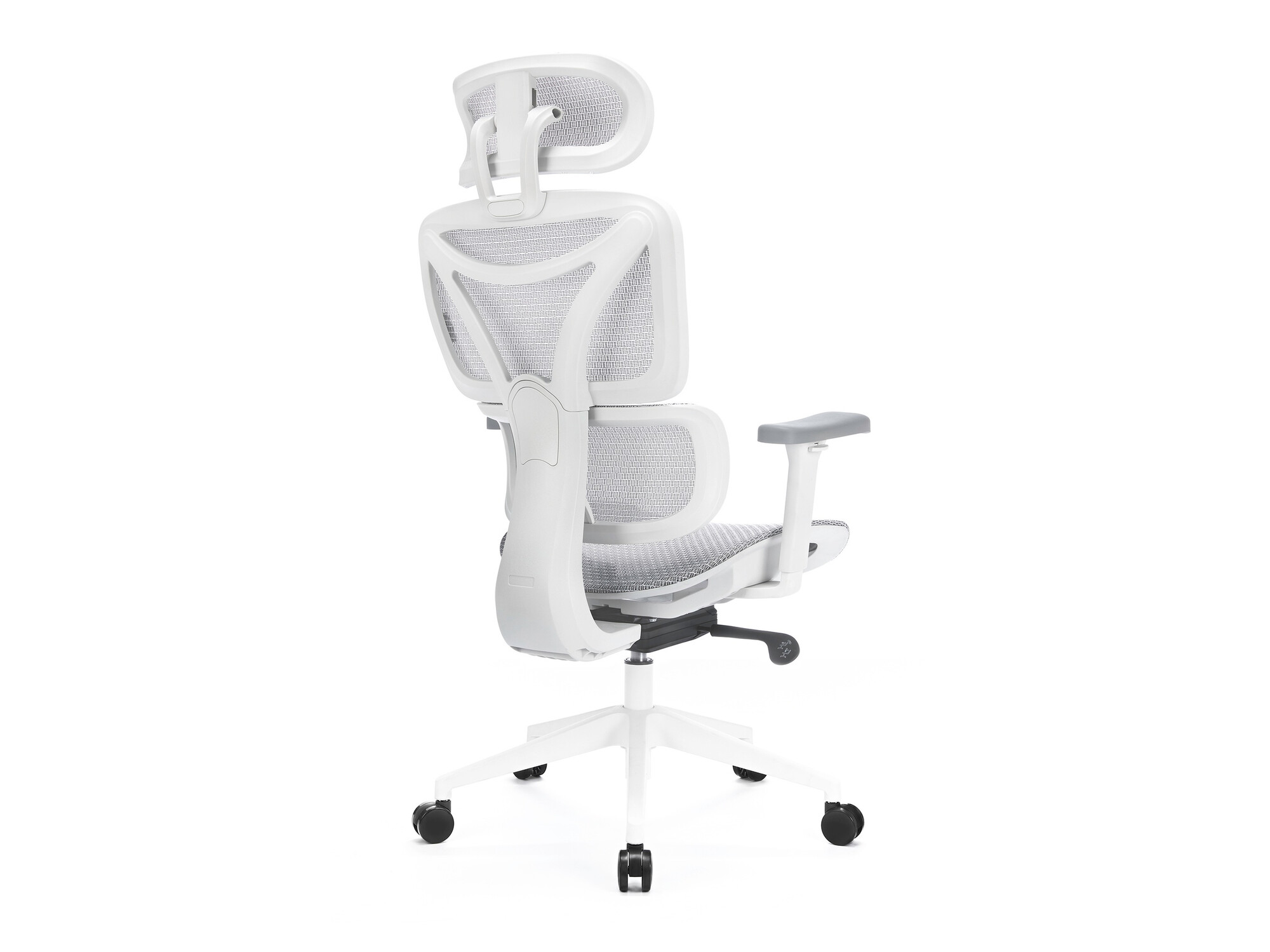 Office chair Lodi 104 (White + Grey)