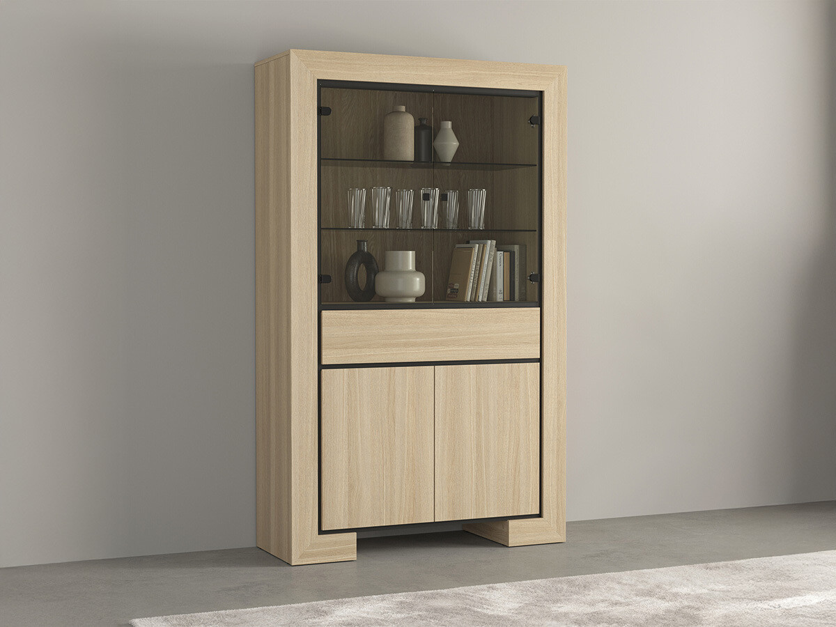Bookcase Etrteo 100