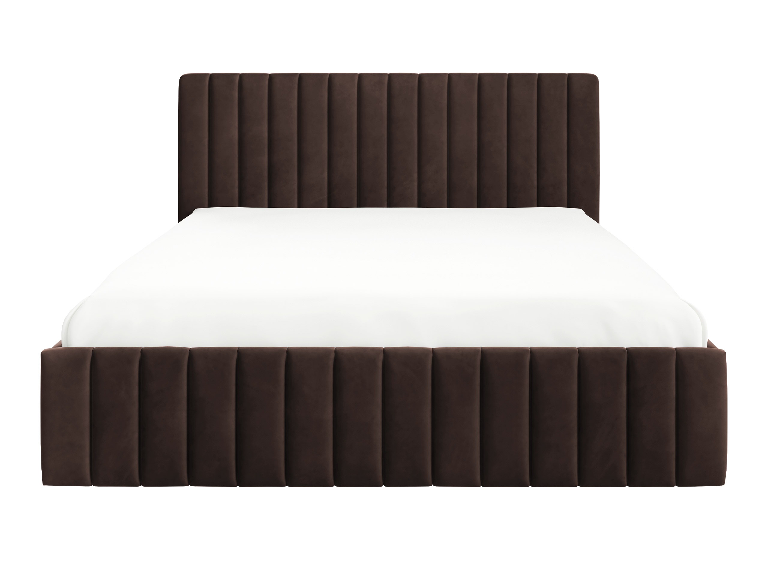 Bed Iris (Fresh 4)