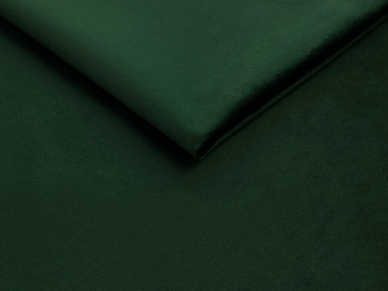 Bed Iris (Fresh 13)