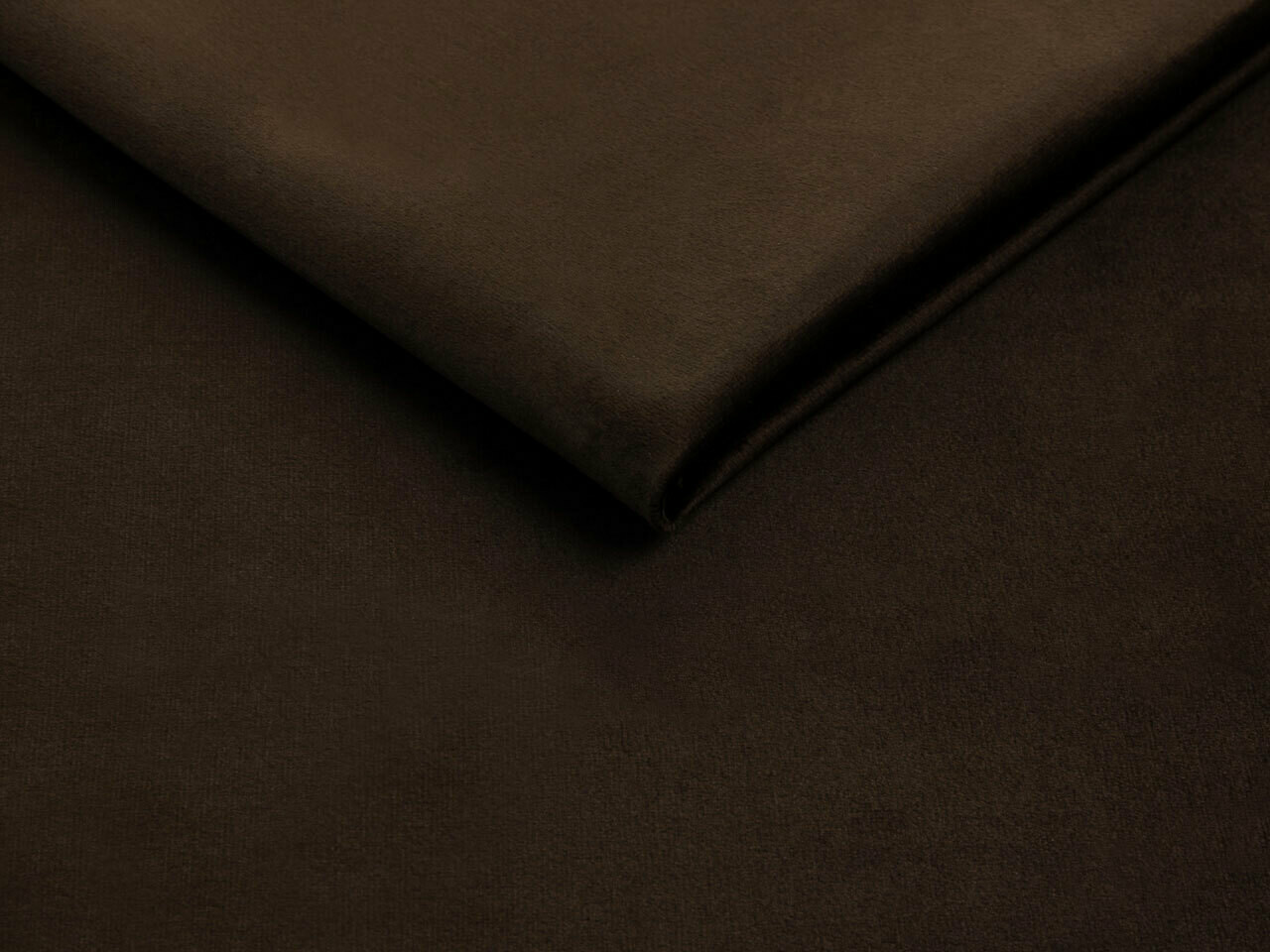 Bed Iris (Fresh 4)