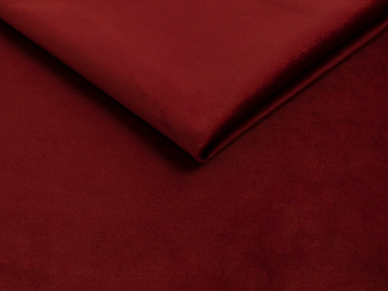 Bed Iris (Fresh 8)