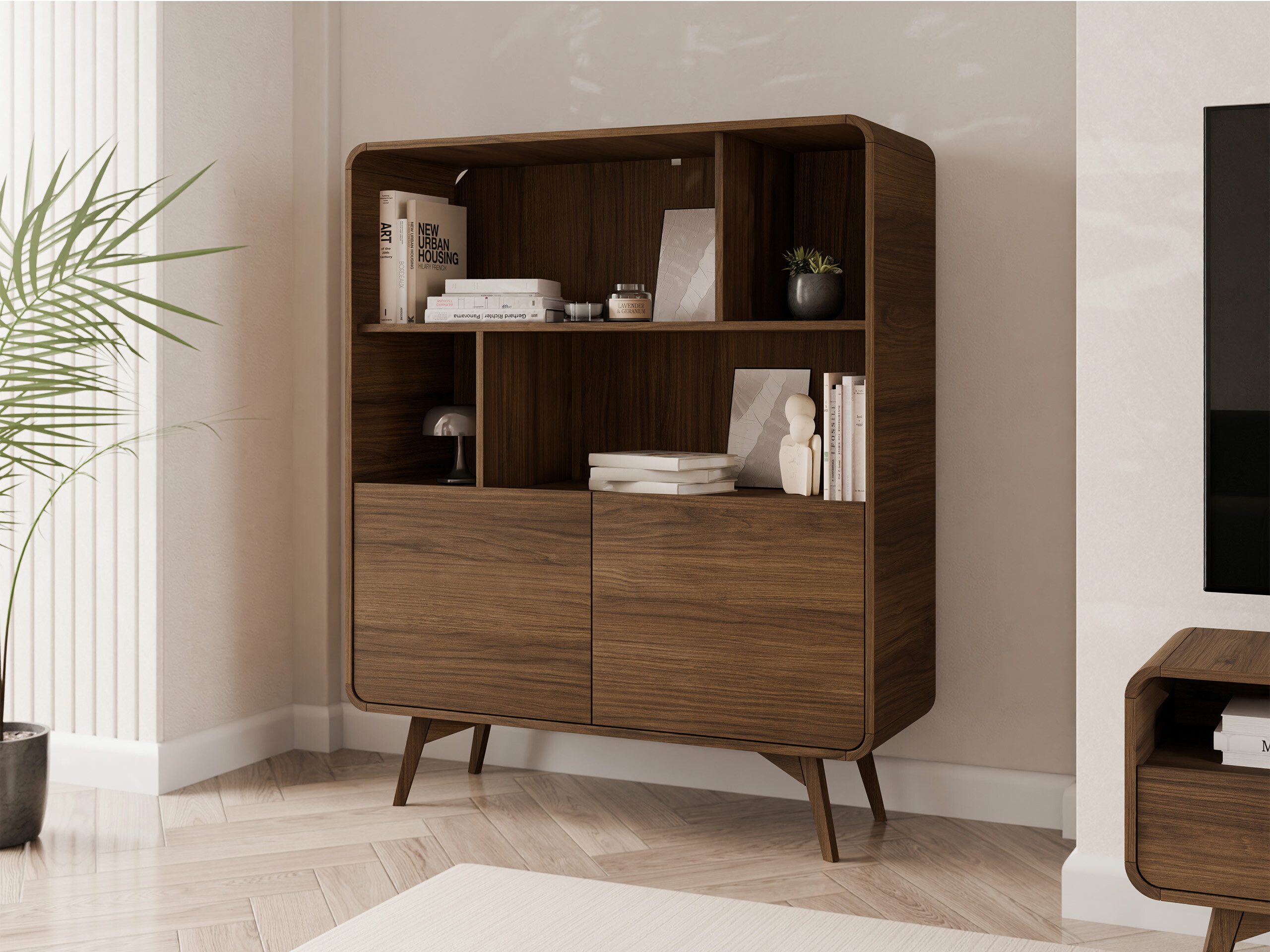Bookcase Focos