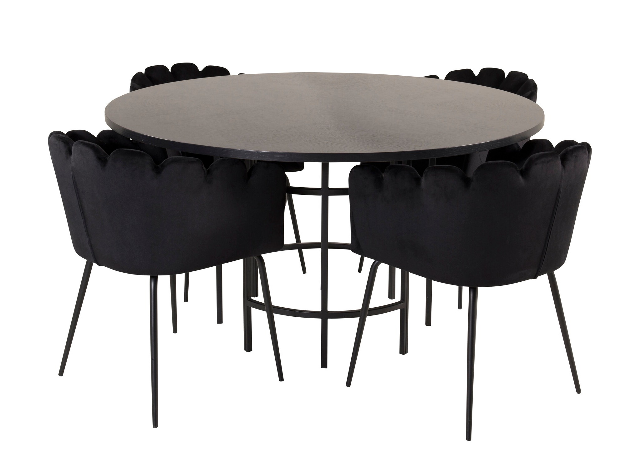 Dining set Dallas 313