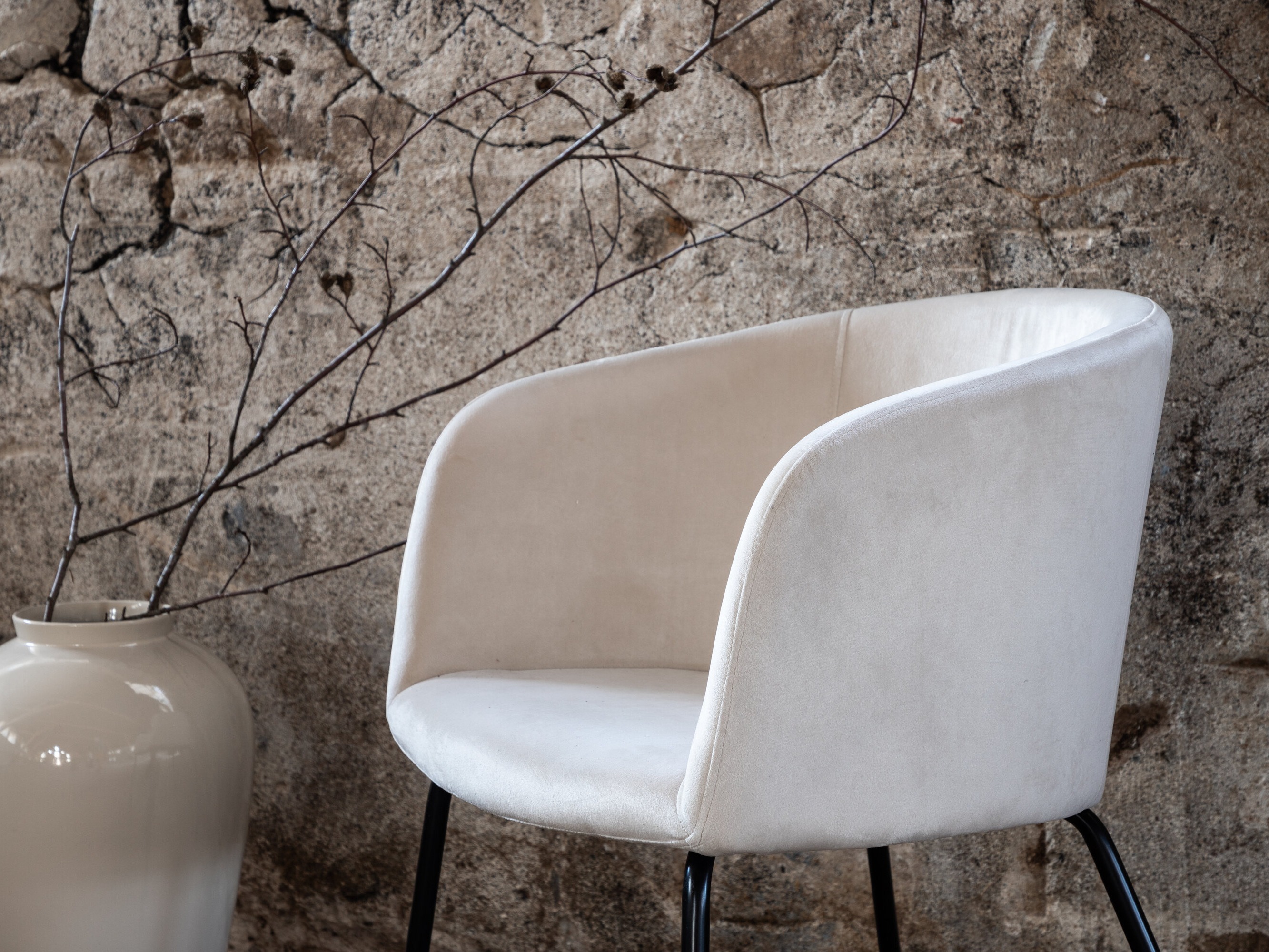 Chair Dallas 2603 (Cream + Black)