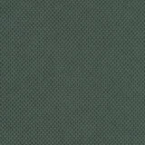Curio fabric